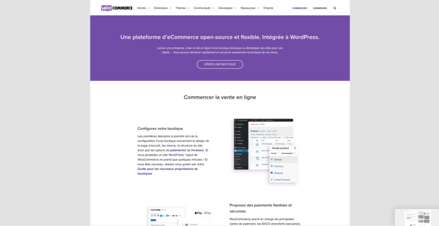 Extension ecommerce WordPress Woocommerce